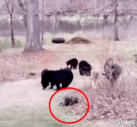 主城低密墅區(qū) 躺贏 式產(chǎn)品,真難超越