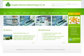 青島網景 做客戶信賴的企業，專業打造美工模板與網站建設